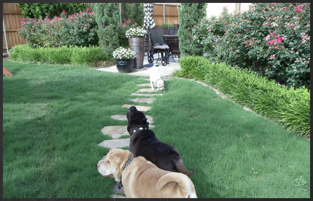 Drainage Project - Frisco, Texas